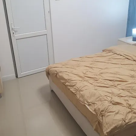 Casa Nedelcu