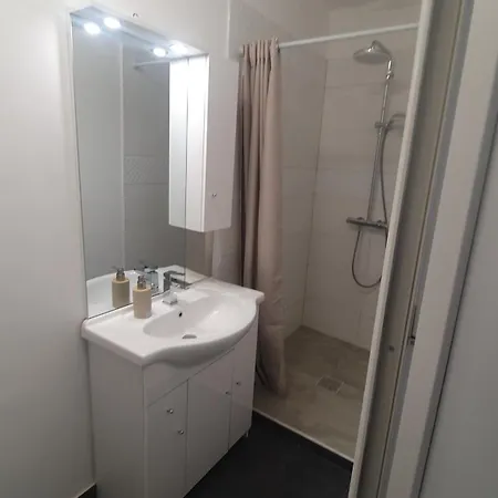 Casa Nedelcu Homestay *