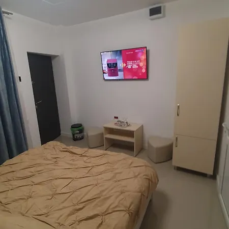 Casa Nedelcu Homestay Craiova