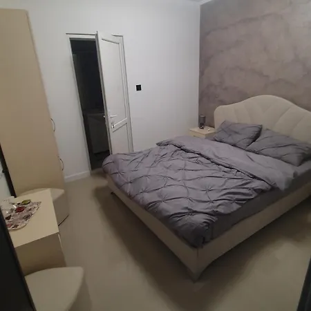 Casa Nedelcu *