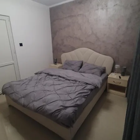 Casa Nedelcu Homestay *