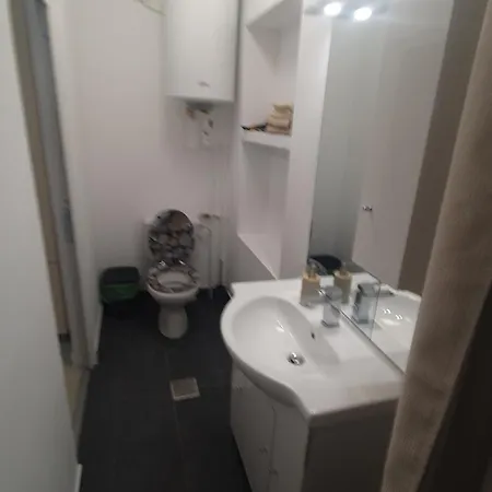 Casa Nedelcu Craiova