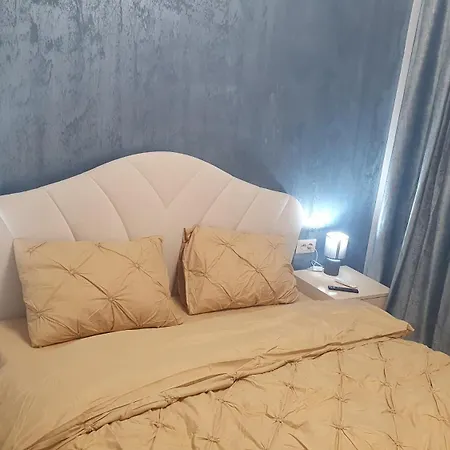 Casa Nedelcu