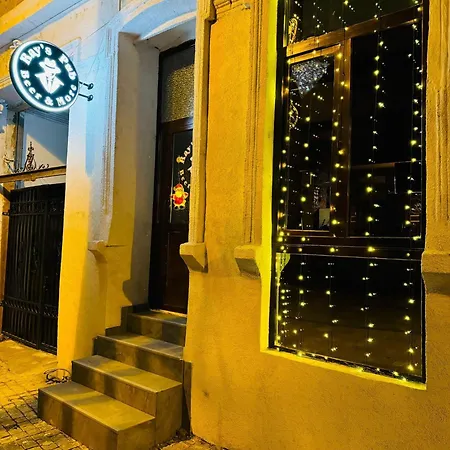 Casa Nedelcu Homestay Craiova