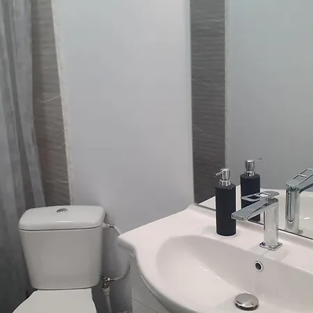 Casa Nedelcu Homestay *