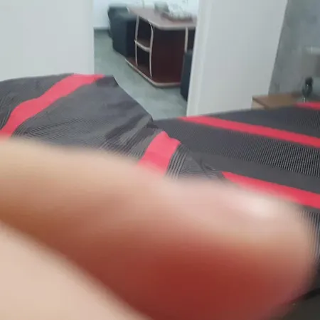 Casa Nedelcu * Craiova