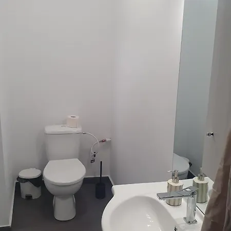 Homestay Casa Nedelcu Craiova