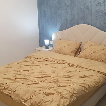 Casa Nedelcu Craiova