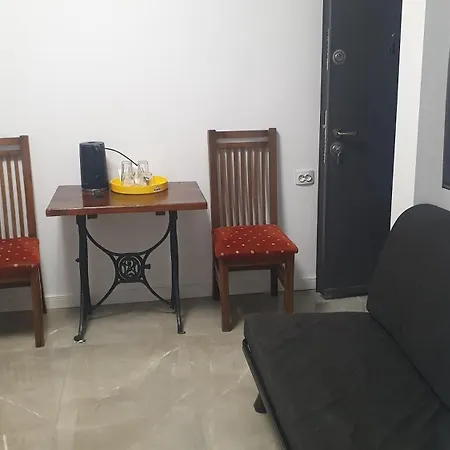 Casa Nedelcu Homestay Craiova