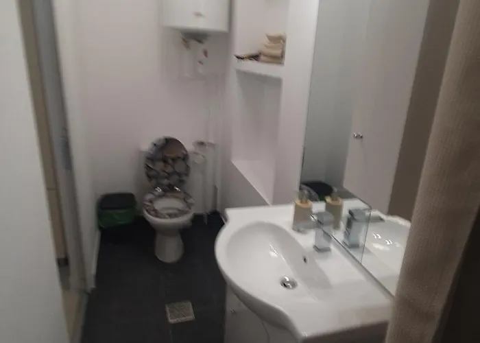 Casa Nedelcu Craiova