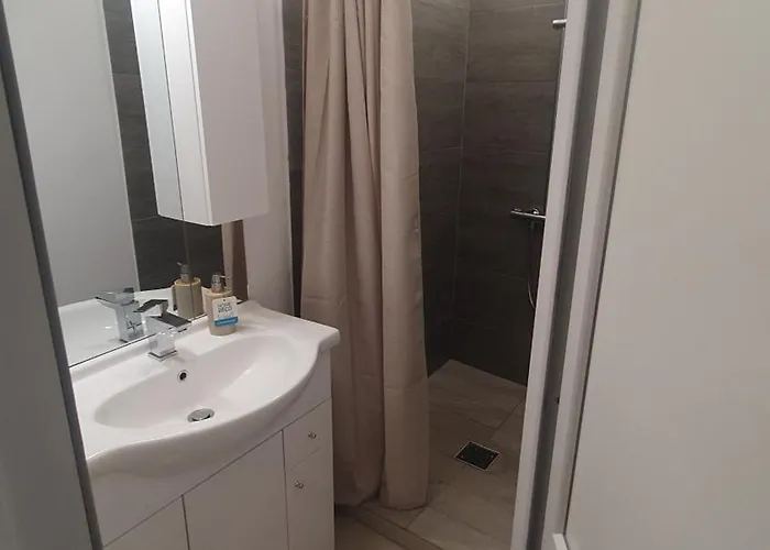 Séjour chez l'habitant Casa Nedelcu Craiova