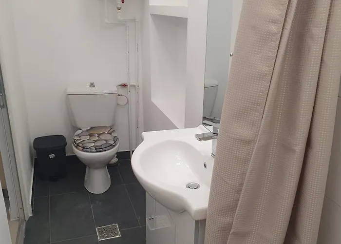 Séjour chez l'habitant Casa Nedelcu *