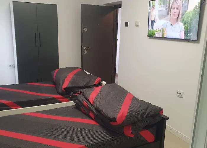 Gazde/Camere de închiriat Casa Nedelcu Craiova